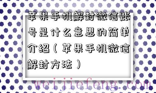 苹果手机解封微信账号是什么意思的简单介绍（苹果手机微信解封方法）