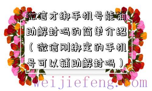 微信才绑手机号能辅助解封吗的简单介绍（微信刚绑定的手机号可以辅助解封吗）