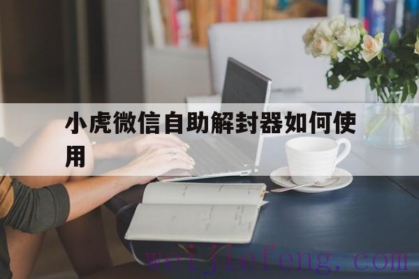 小虎微信自助解封器如何使用（微信自助解封怎么弄 教程）